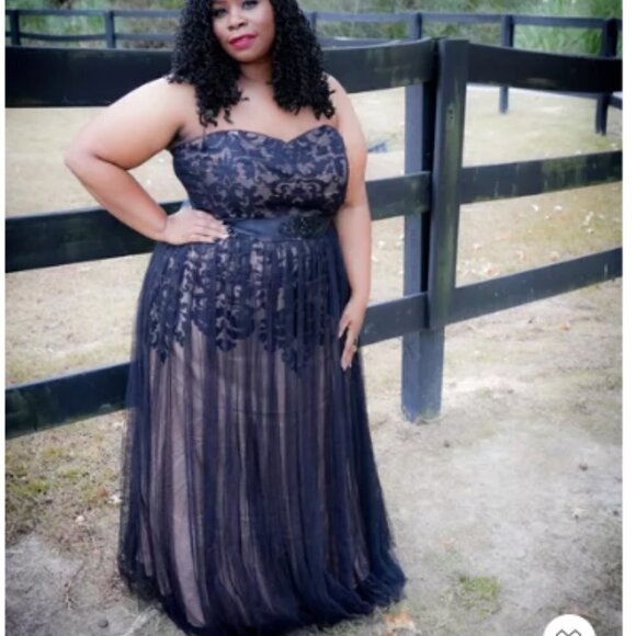 City Chic Embroidered Tulle Maxi Dress - Picture 4 of 12